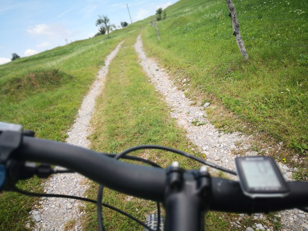 mtbokoli velikega lipovca velikega trebelnika na mali trebelnik