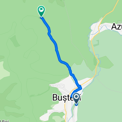  Busteni (Cantacuzino)-Restaurant Gura Diham