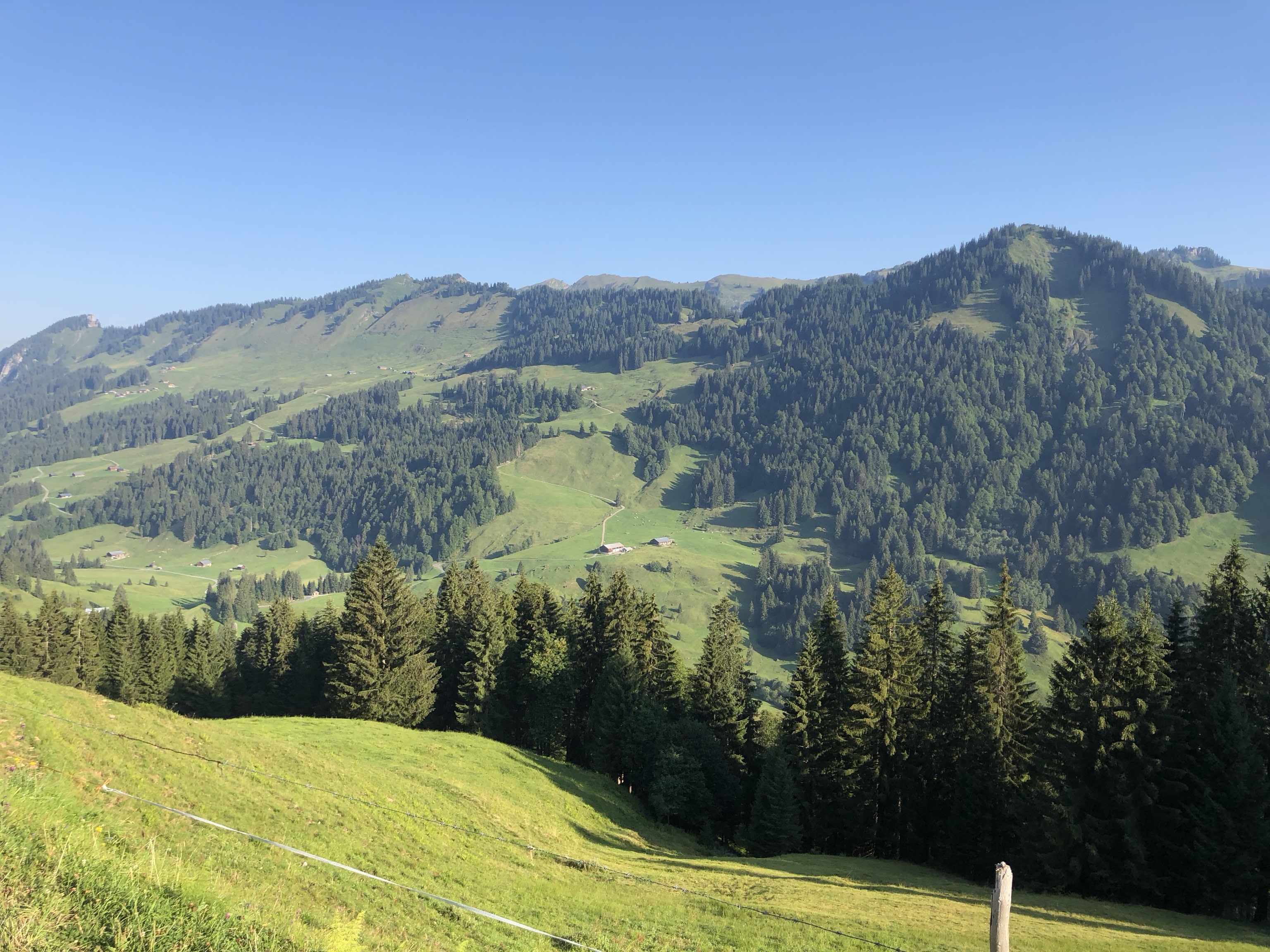 Bezau - Almisgunten - Bezau