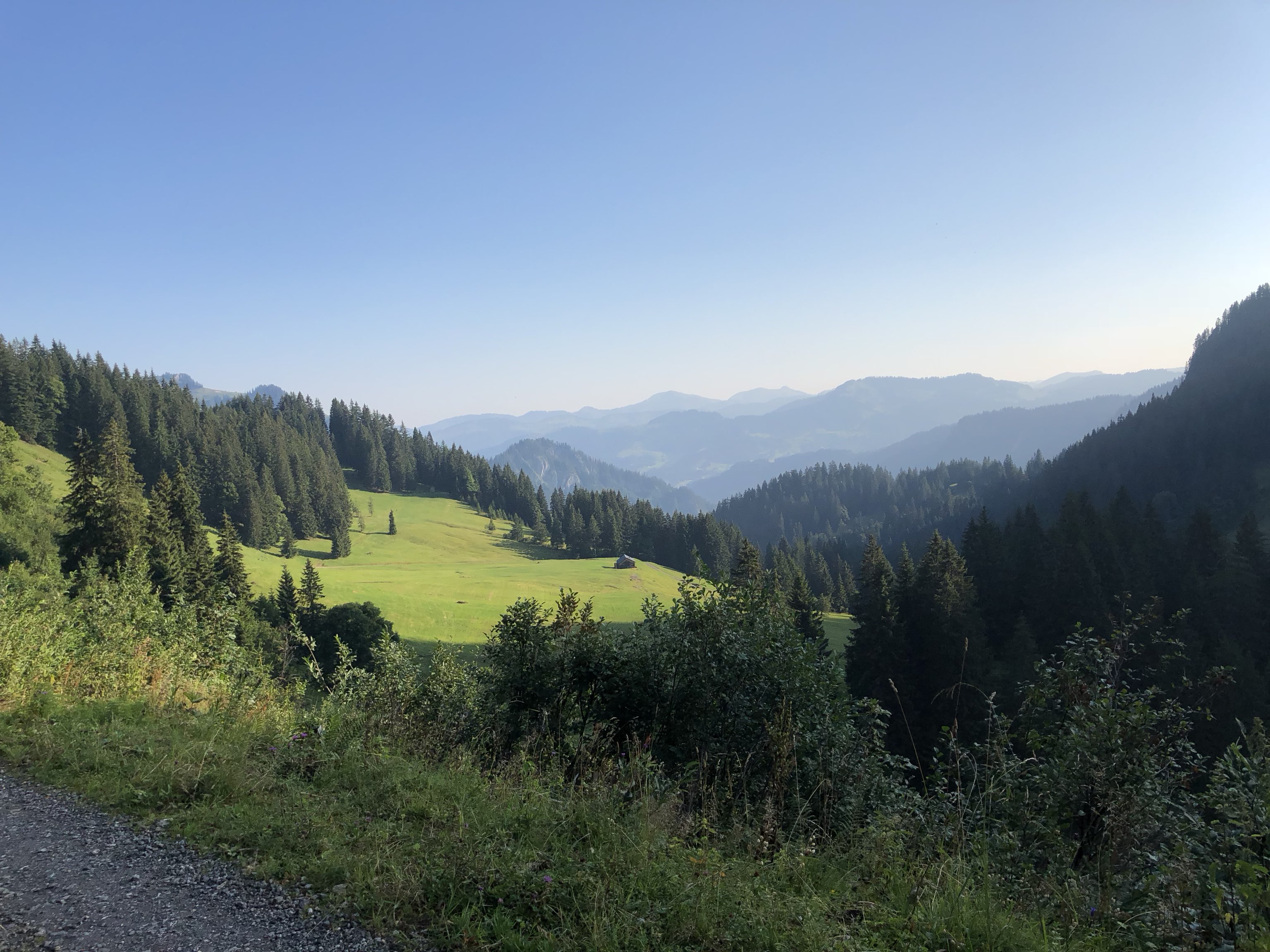 Bezau - Almisgunten - Bezau