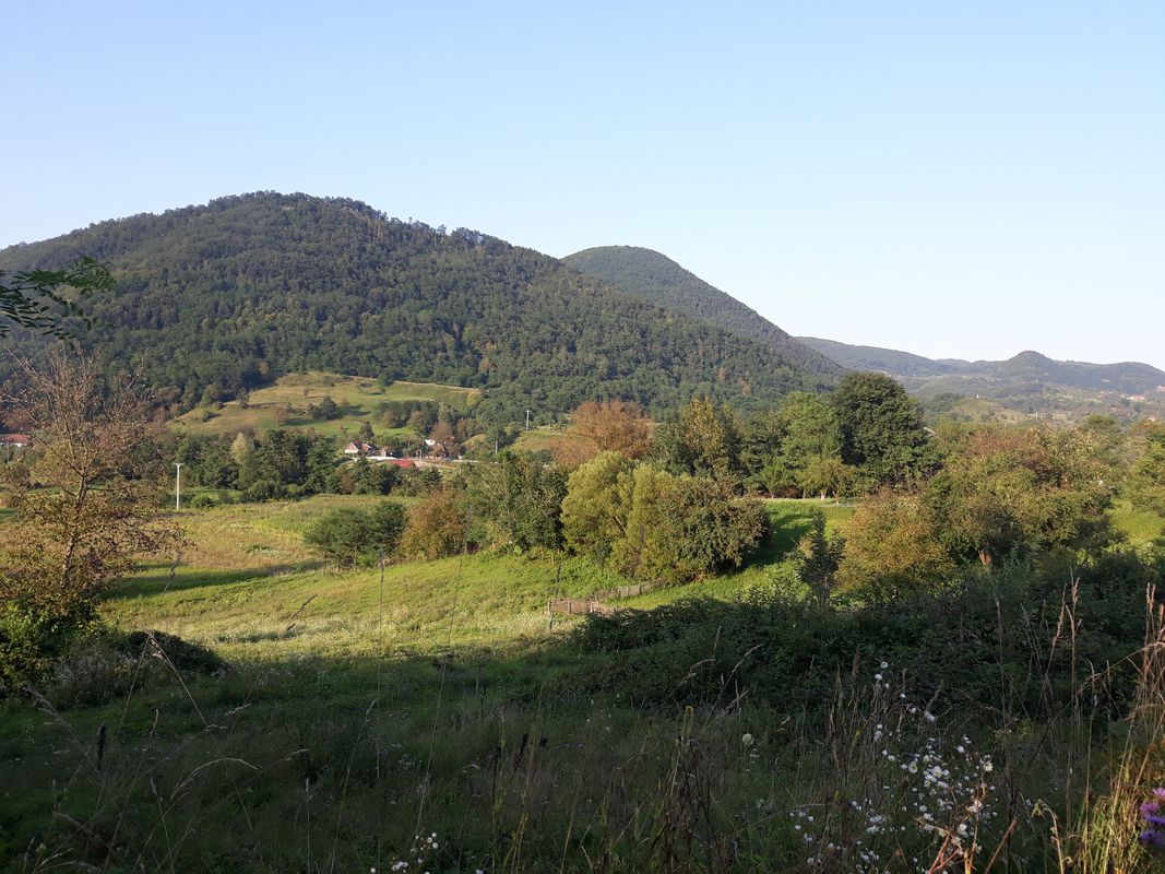 Luncoiu de jos
