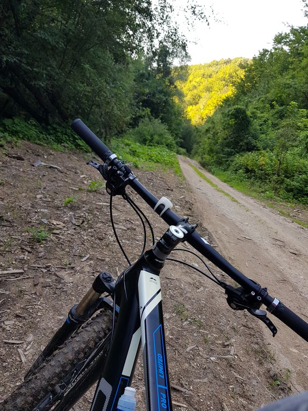 Subotnja voznja Trest