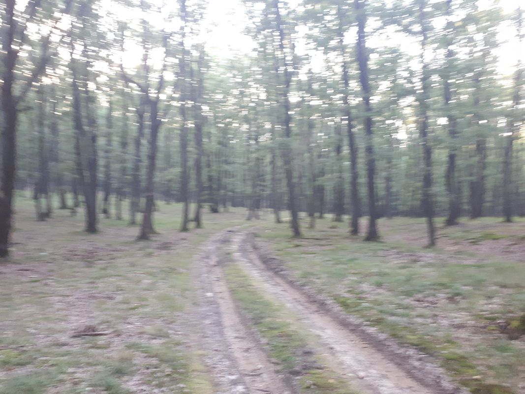 Garbova-Calnic-Reciu-Garbova