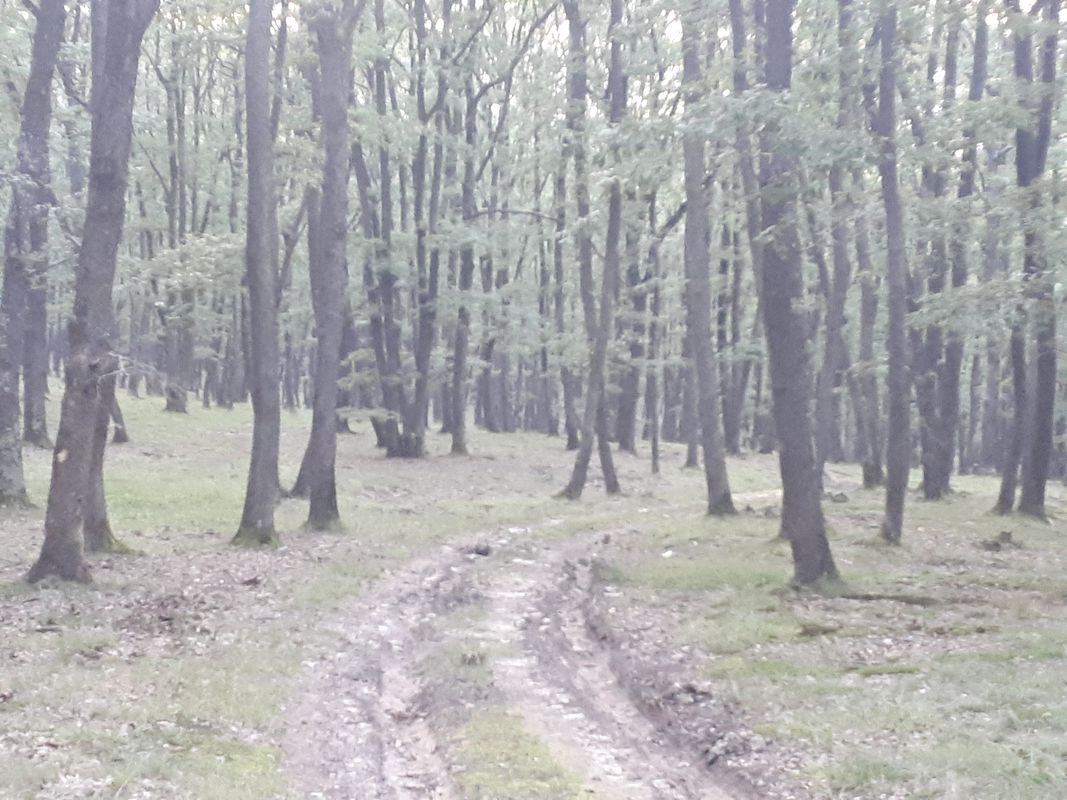 Garbova-Calnic-Reciu-Garbova