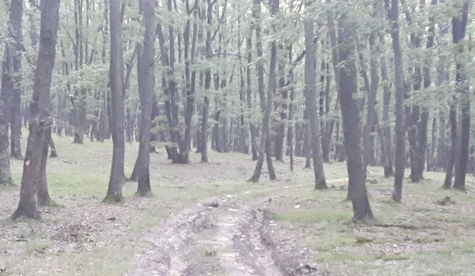 Photo 1 of the Bikemap route "Garbova-Calnic-Reciu-Garbova"
