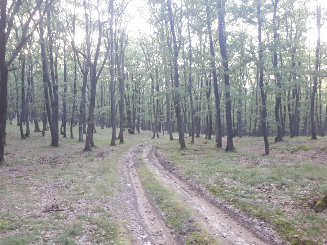 Garbova-Calnic-Reciu-Garbova