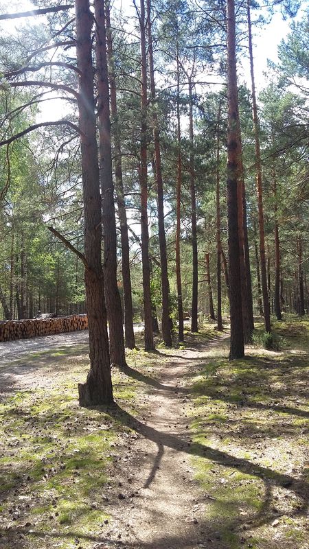 Okuninka - Sobibór - Okuninka
