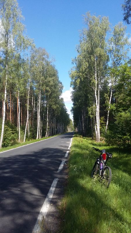 Okuninka - Sobibór - Okuninka