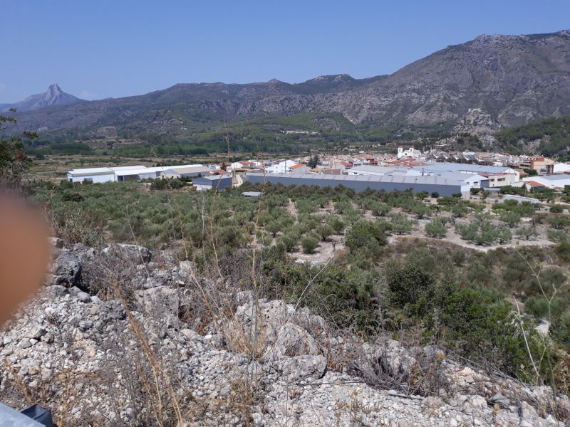 Ontinyent - L'Orxa - Daimus