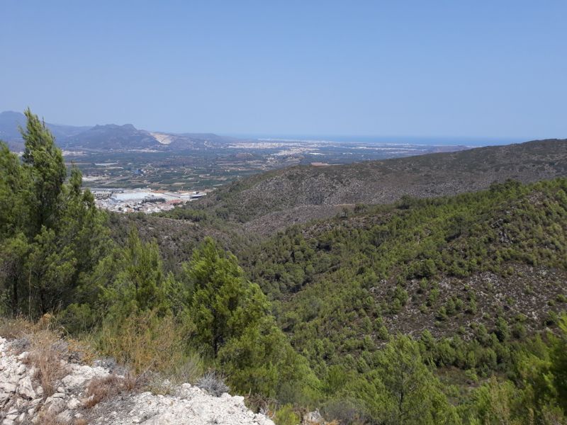 Ontinyent - L'Orxa - Daimus