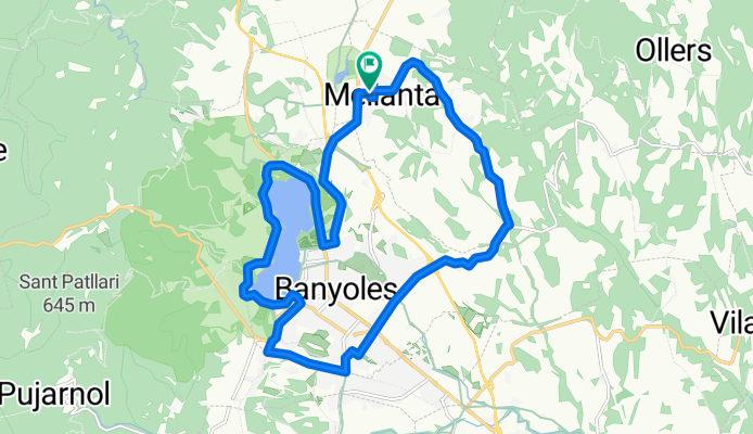 banyles   I foncubeta  I porques