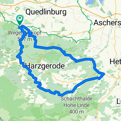 97 1610 Thale Biesen Wippra FBR