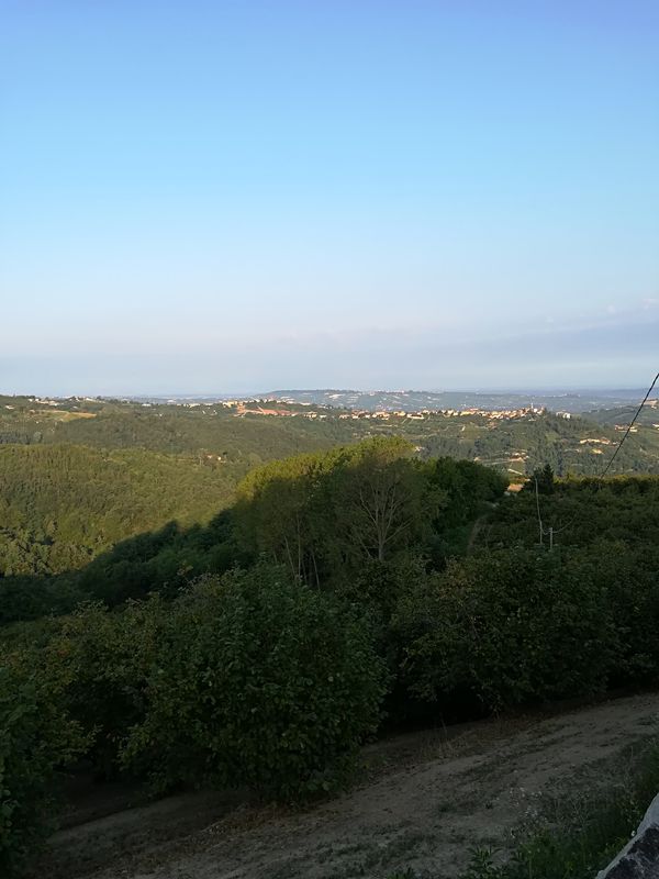 Treiso 08.08.18
