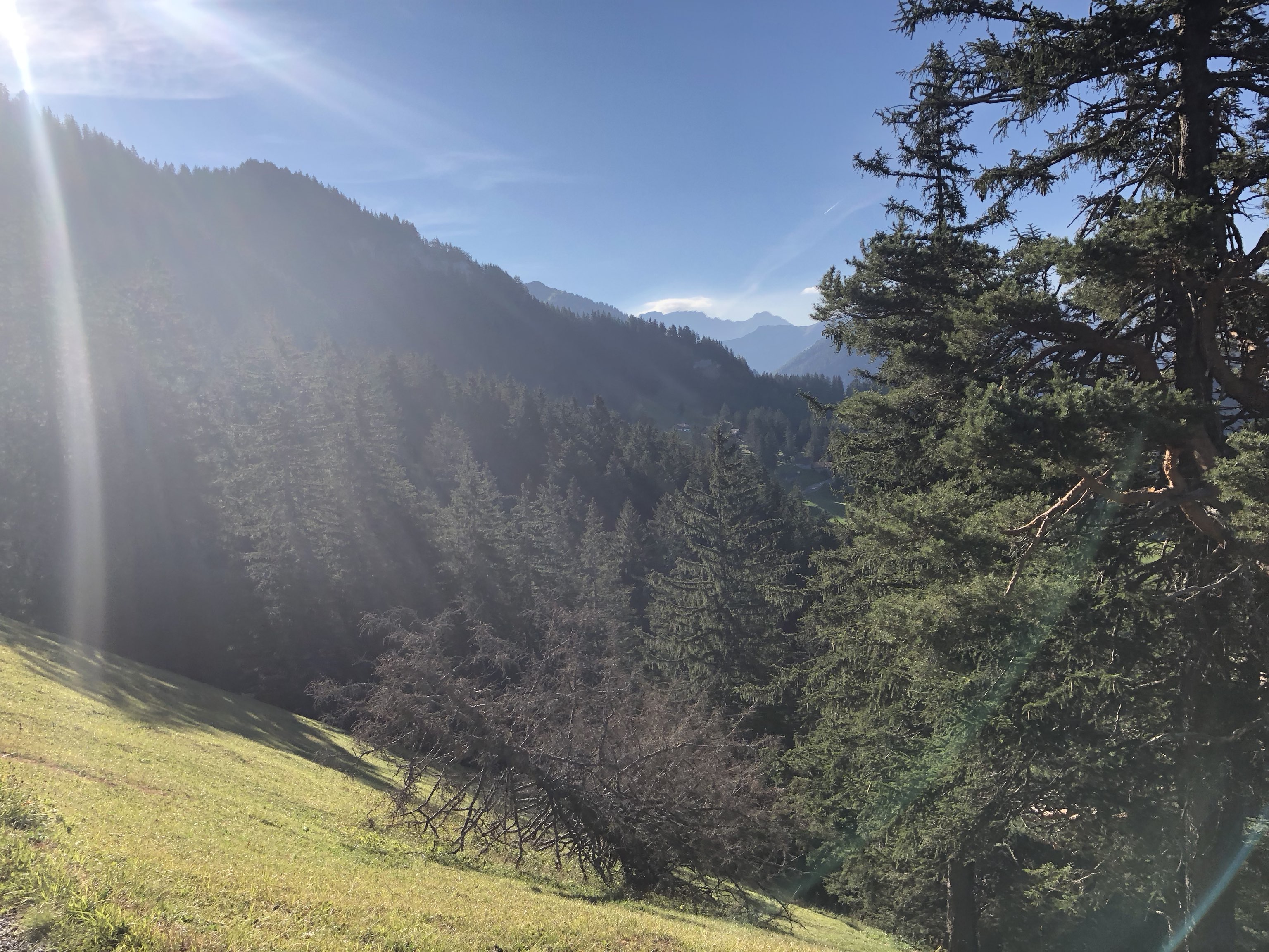 Sonntag / Schaan - Gaflei - Silim - Schaan