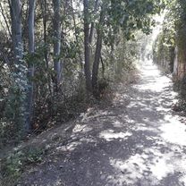 Photo 8 of the Bikemap route "Granada Vistas y Aquas" Photo 8 of the Bikemap route "Granada Vistas y Aquas"