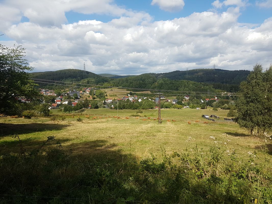Schneekopf - Klettbach