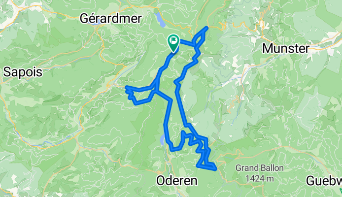 WILDENSTEIN