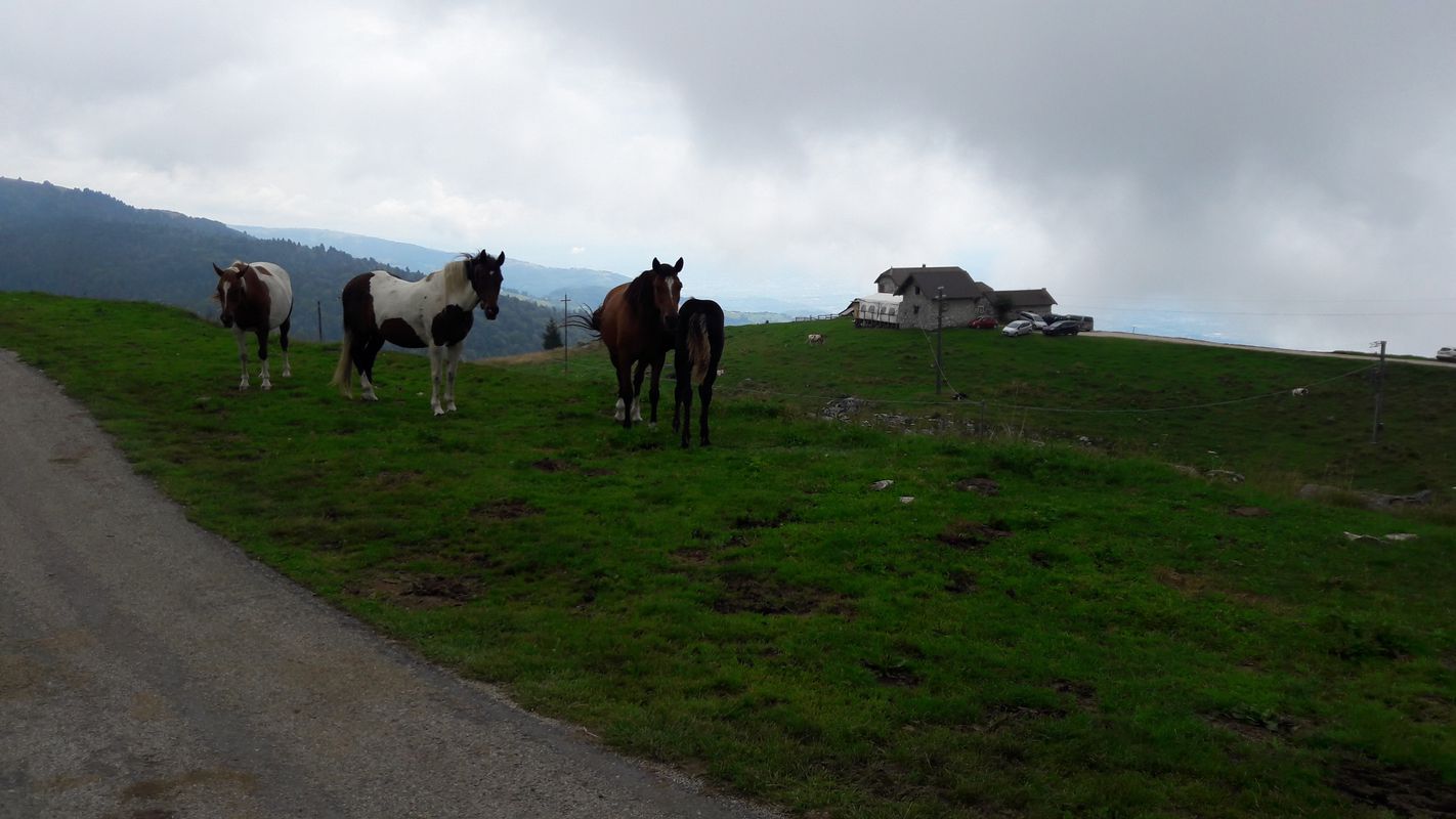 Altopiano Asiago Giro Delle Malghe