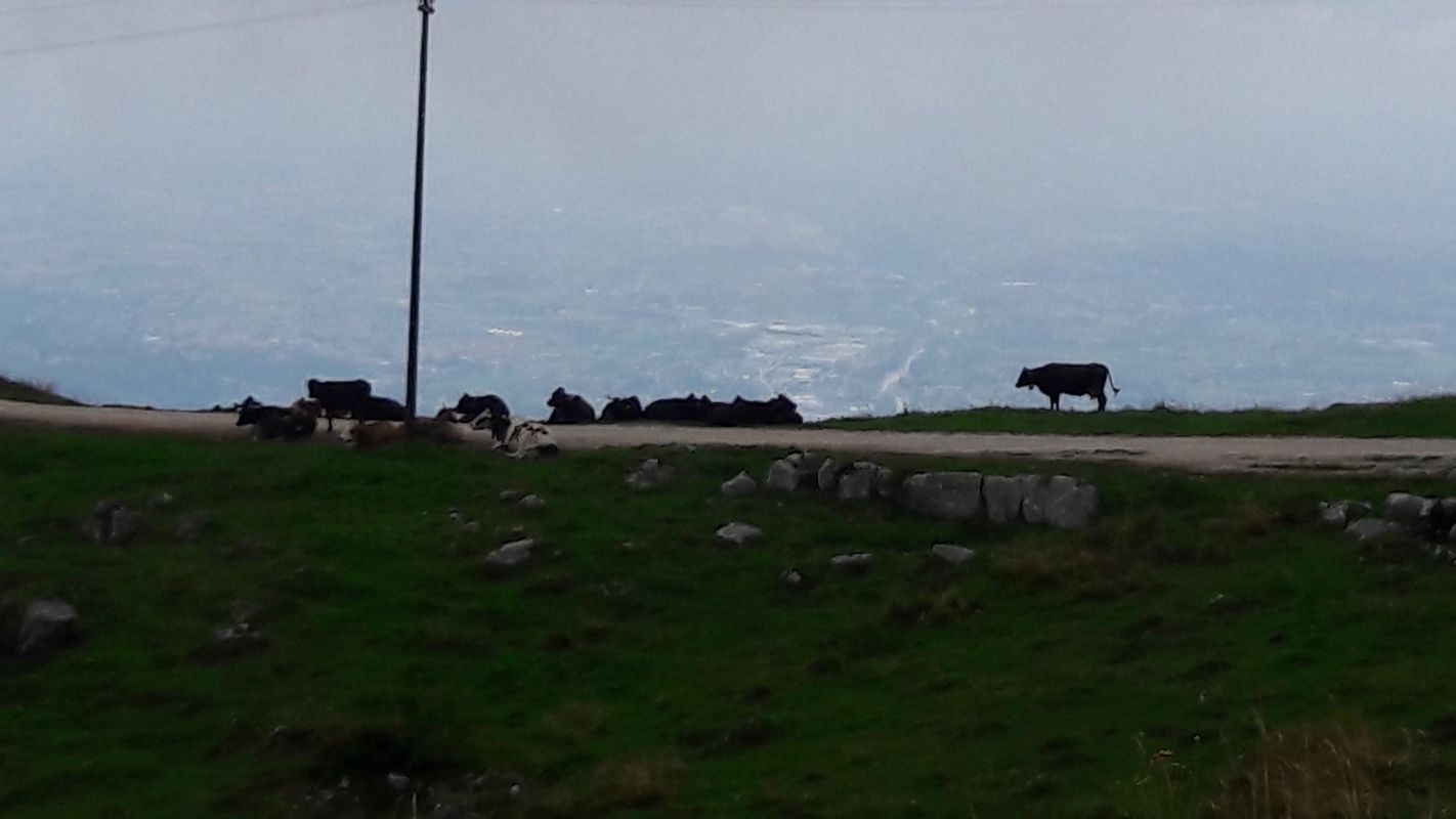 Altopiano Asiago Giro Delle Malghe