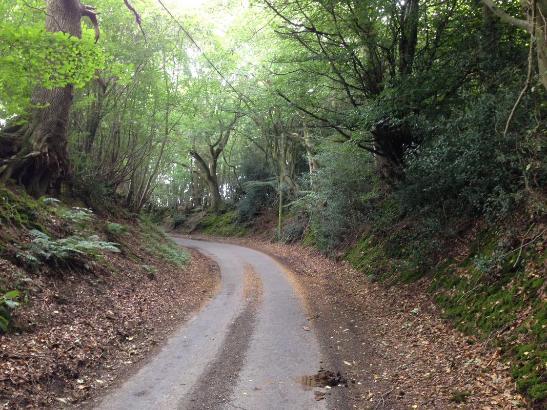 Chiddingly Gun Hill Round