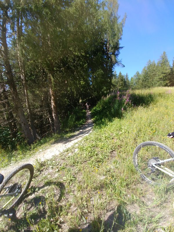 First time Woodstock