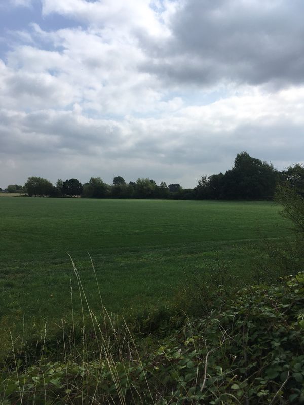 Spred Out Sonntag Course In Zetel