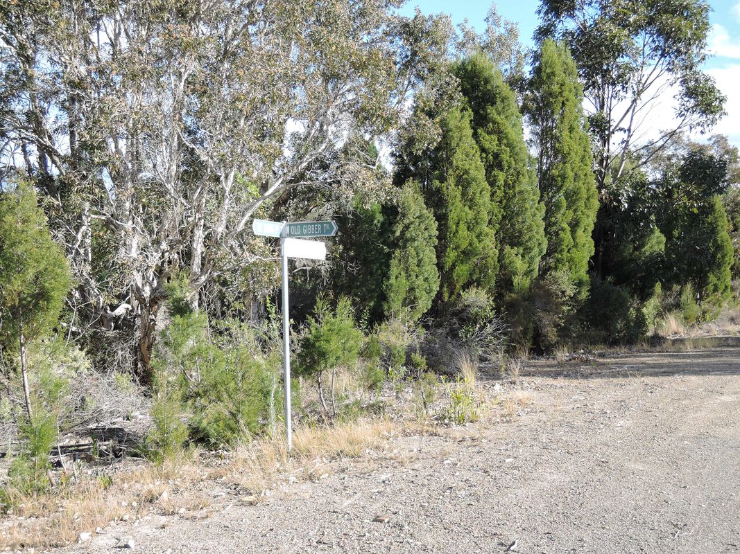 Forster to Mungo Brush
