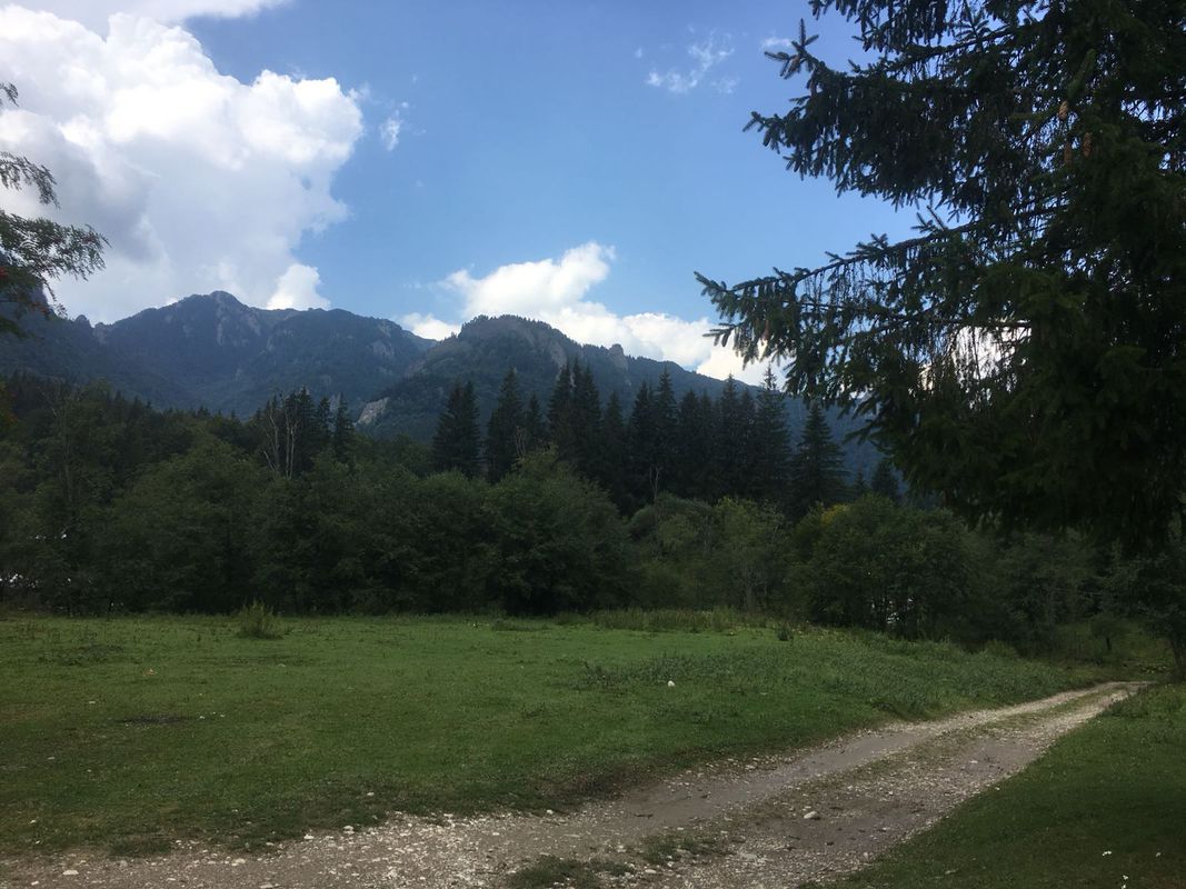 Cheia - Poiana Stanii - Pasul Boncuta