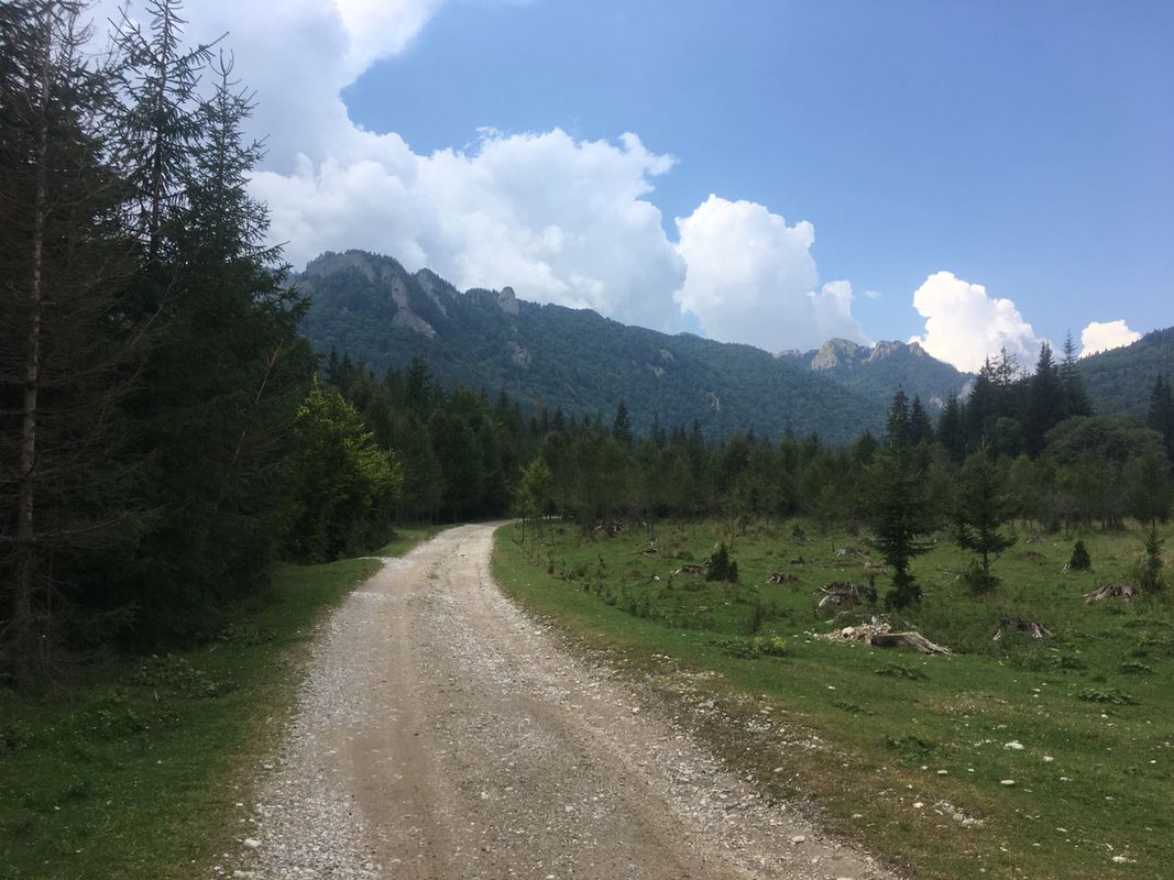 Cheia - Poiana Stanii - Pasul Boncuta