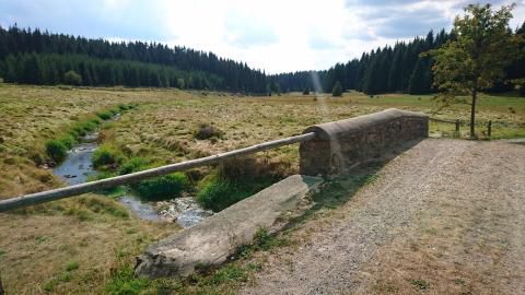 Schwarzwassertal 2018 - GG Olb