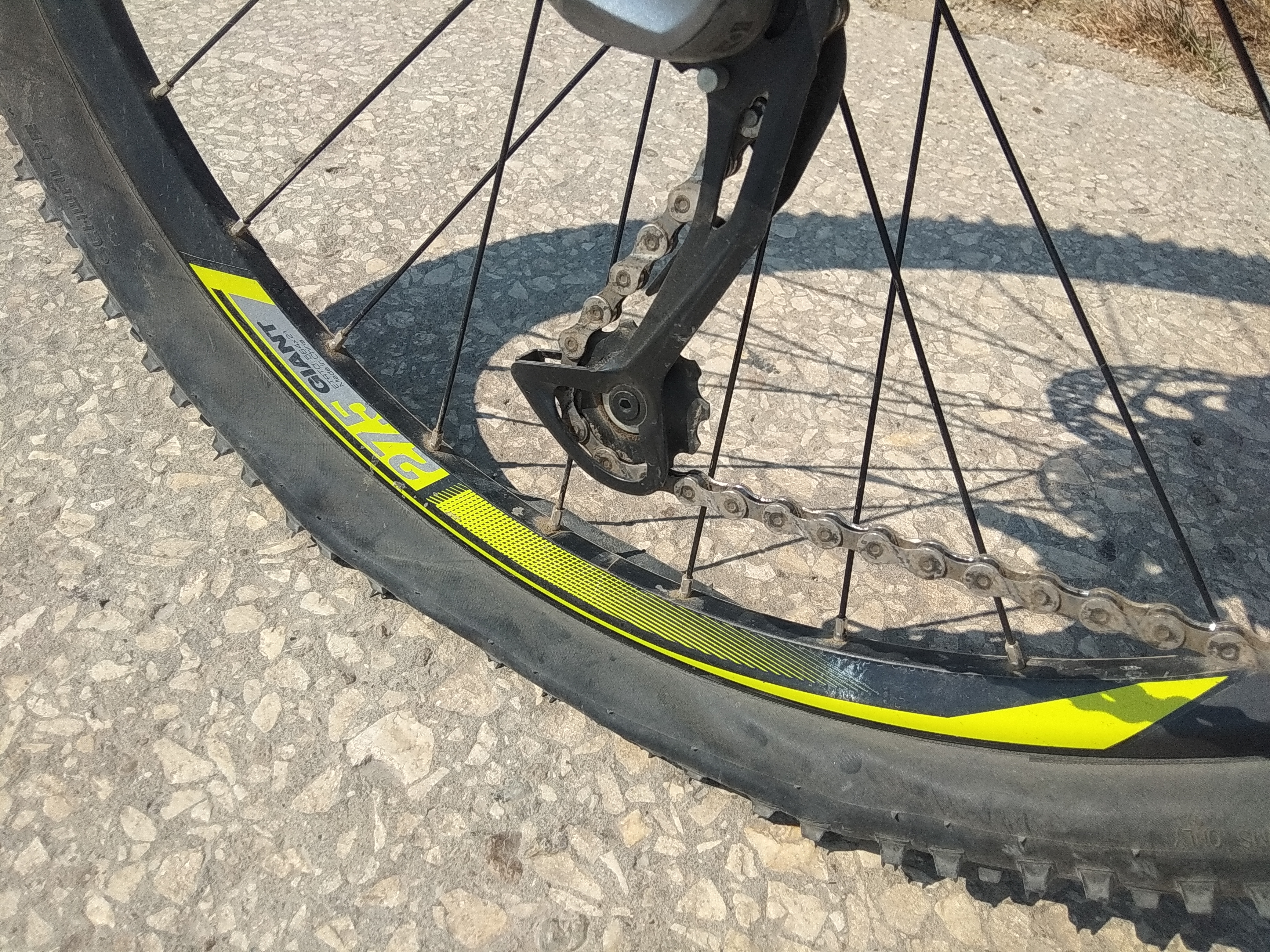 pe bicla si pe langa bicla