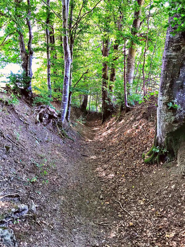 Beautiful Bikeroute from Grabs to Alp Loch