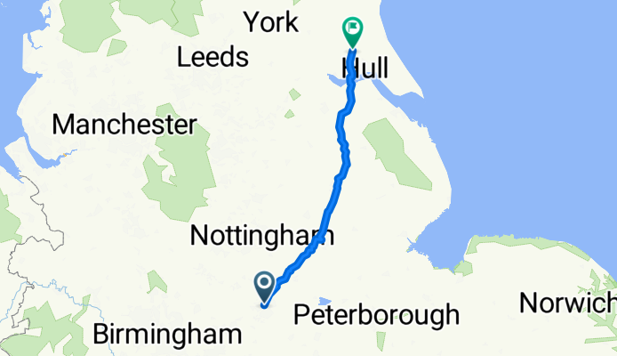 Animals Road Trip 2019 D4