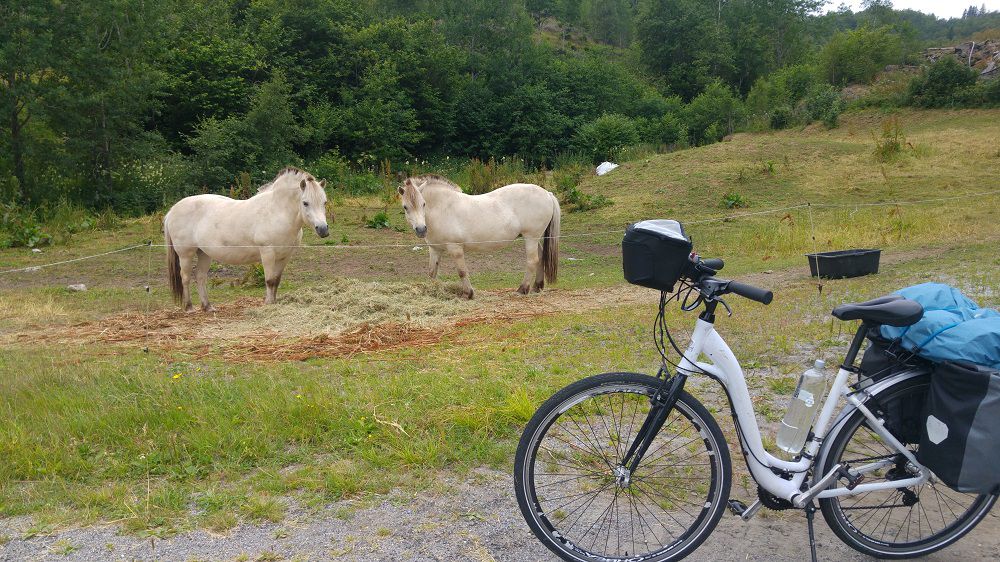 Norway 10: Akse-near Forde lufthamn, Bringeland