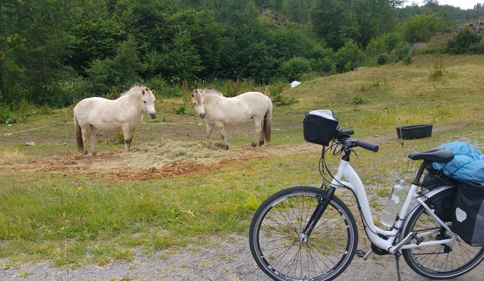 Photo 2 of the Bikemap route "Norway 10: Akse-near Forde lufthamn, Bringeland"