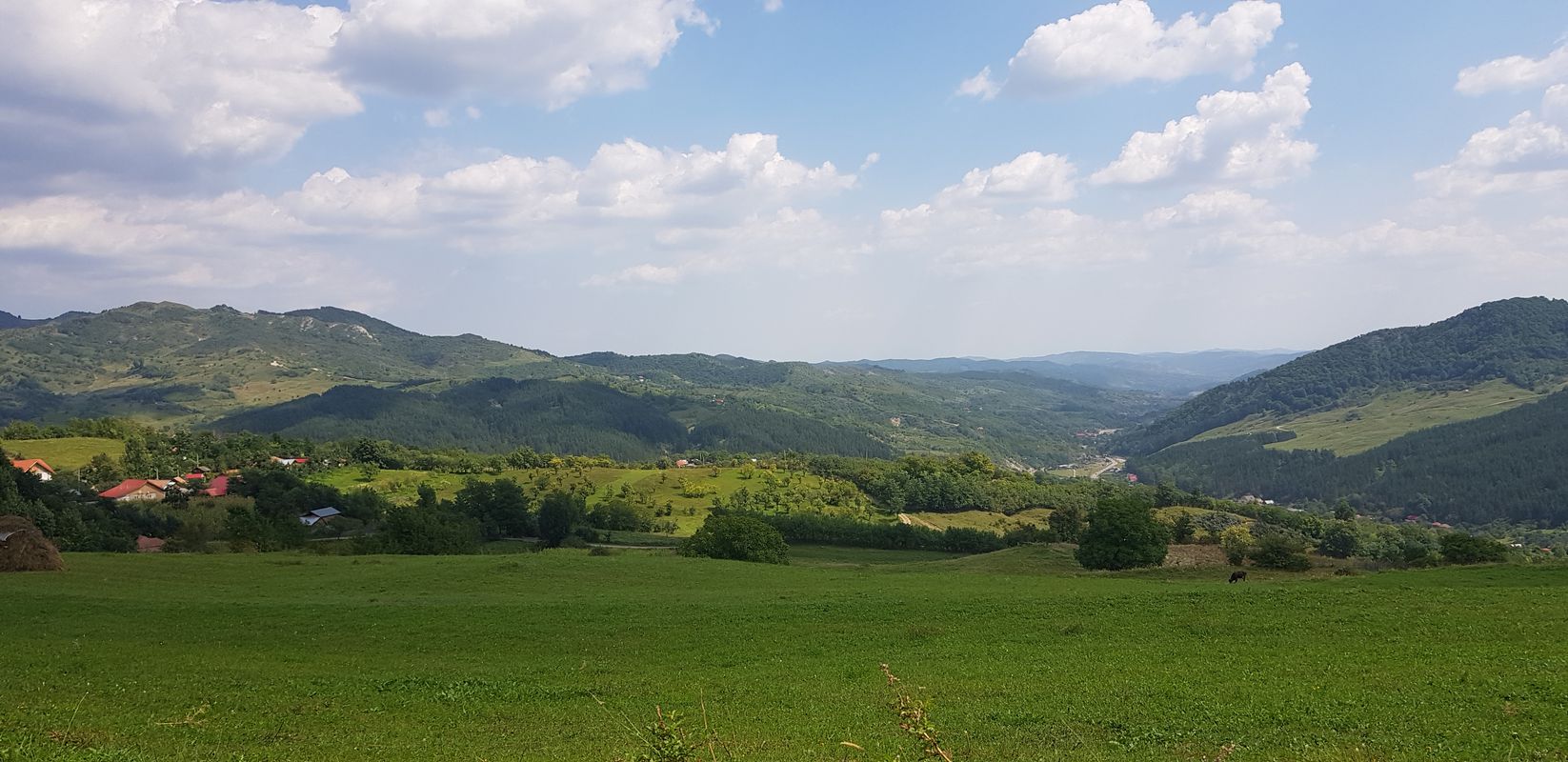 Lopatari-Platoul Meledic