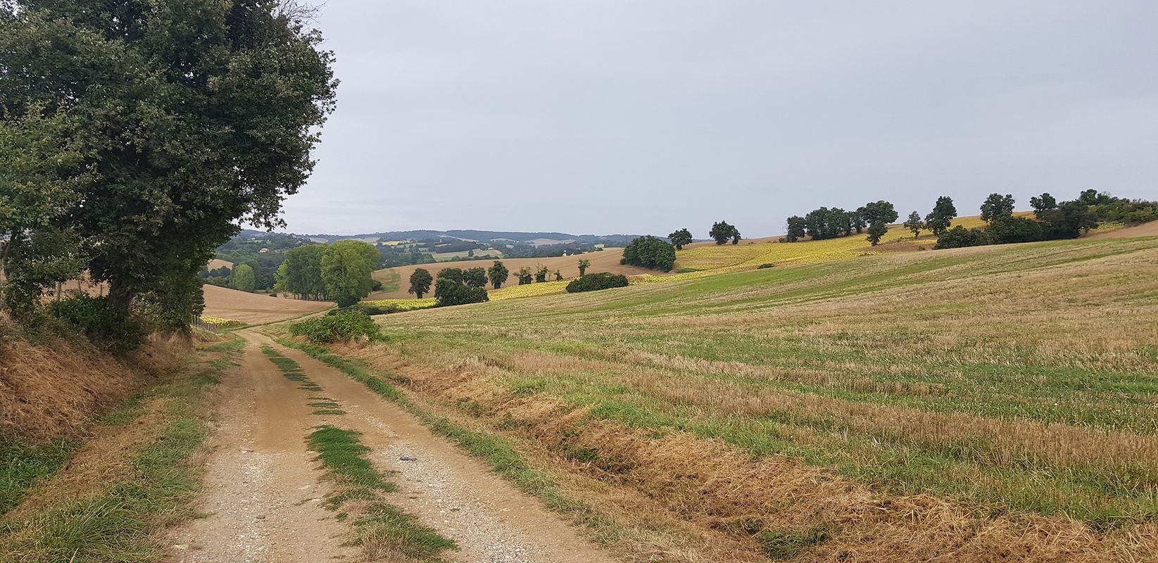 de Bayonne à Toulouse // GRAVEL