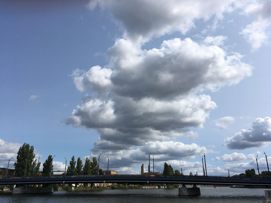 Snail-Like Sonntag Course In Berlin
