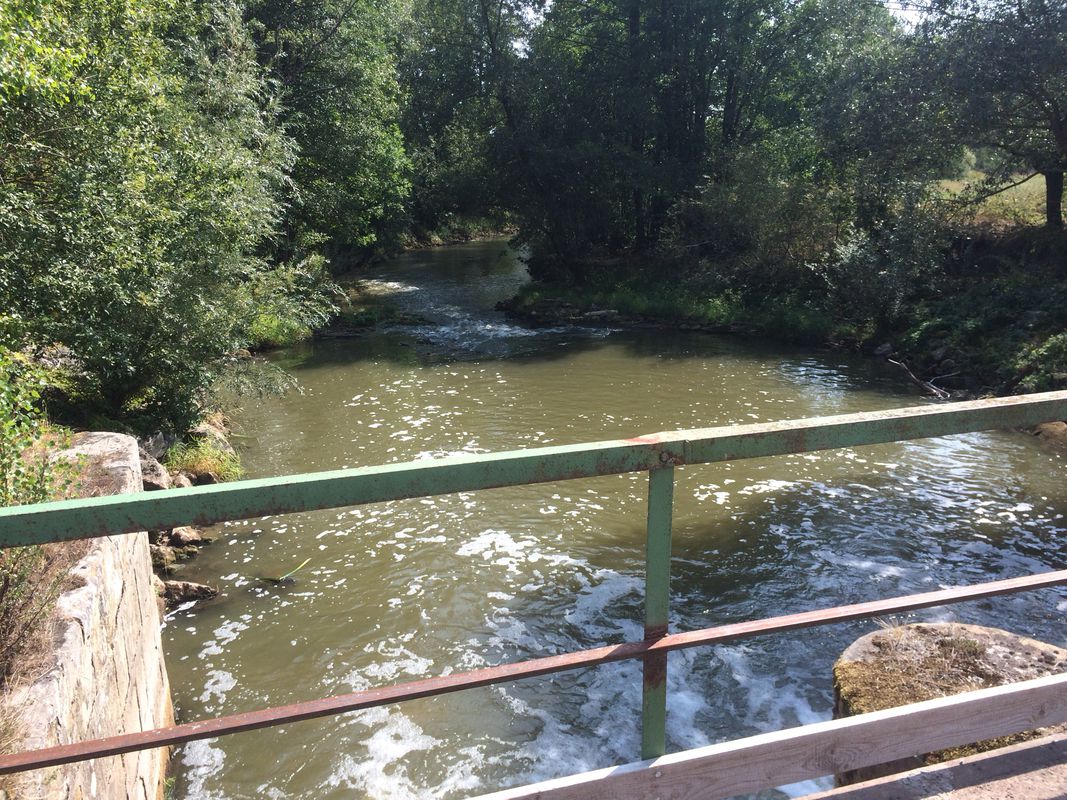 Relaxed Mittwoch Course In Baunach