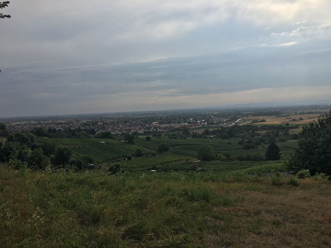 Spred Out Mittwoch Ride In Schriesheim