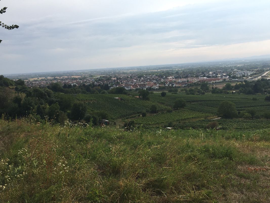Spred Out Mittwoch Ride In Schriesheim