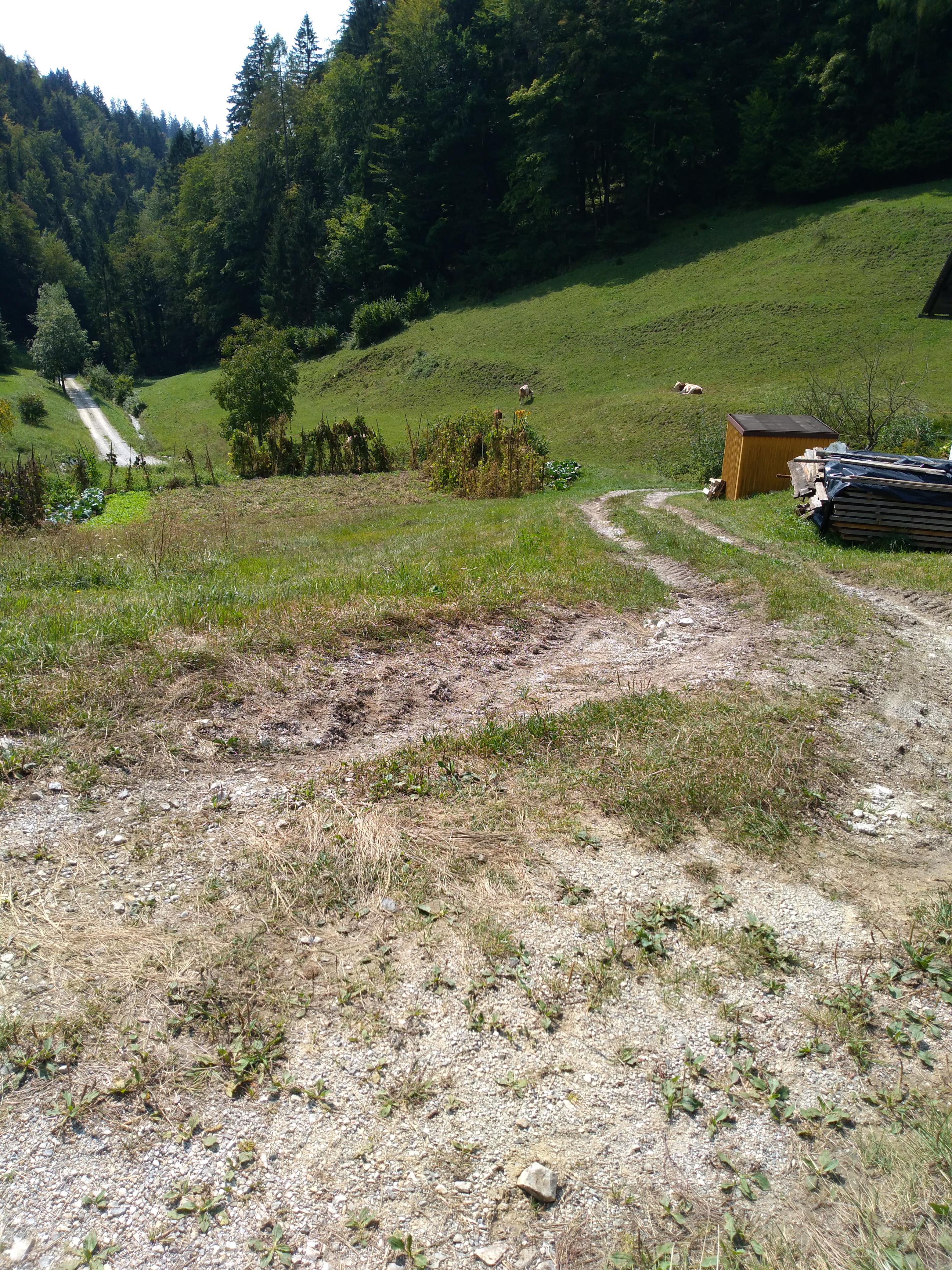 Mlinše