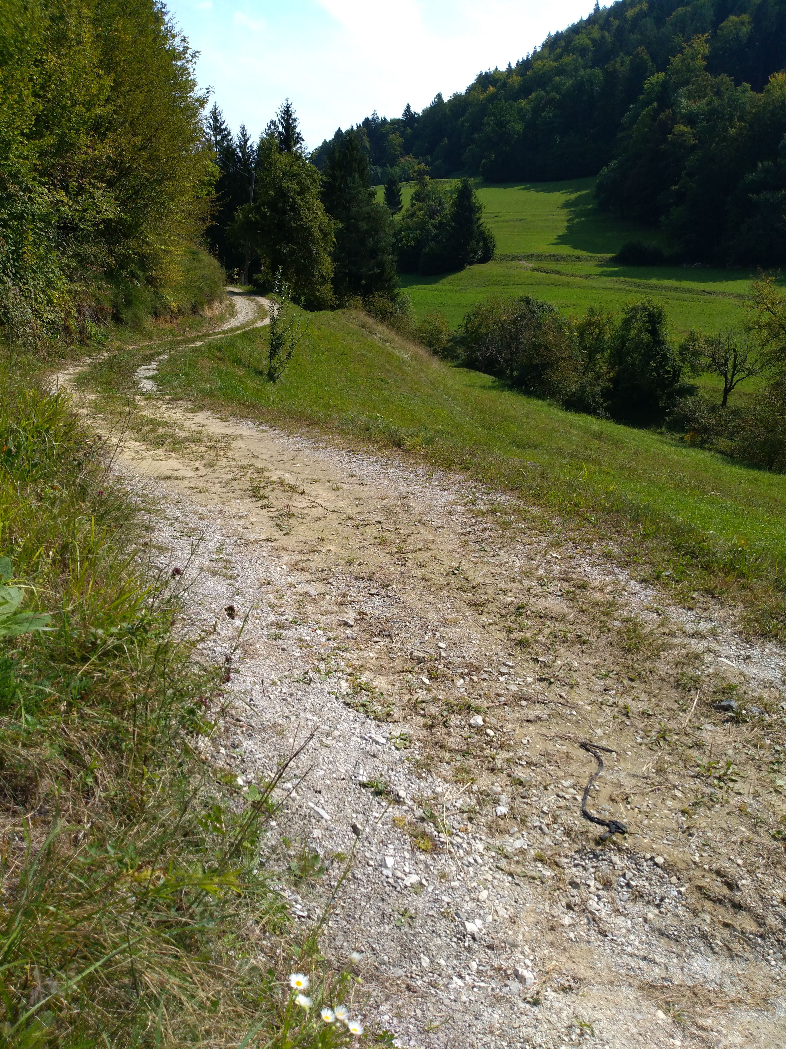 Mlinše