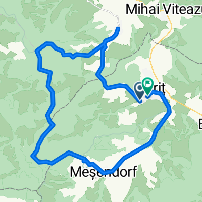 Crit Meșendorf Andi Mila