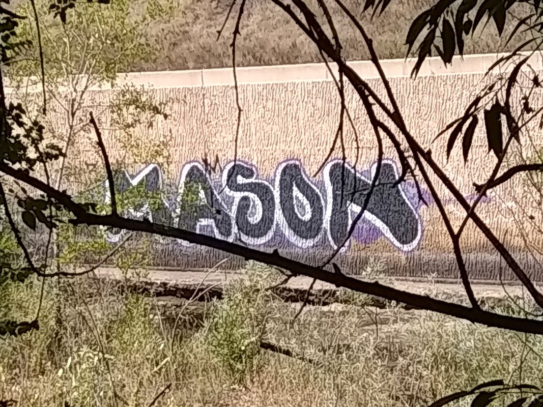 Uptown funk to suburban skunk