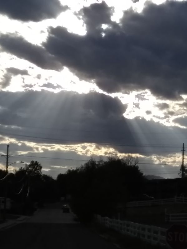 Uptown funk to suburban skunk