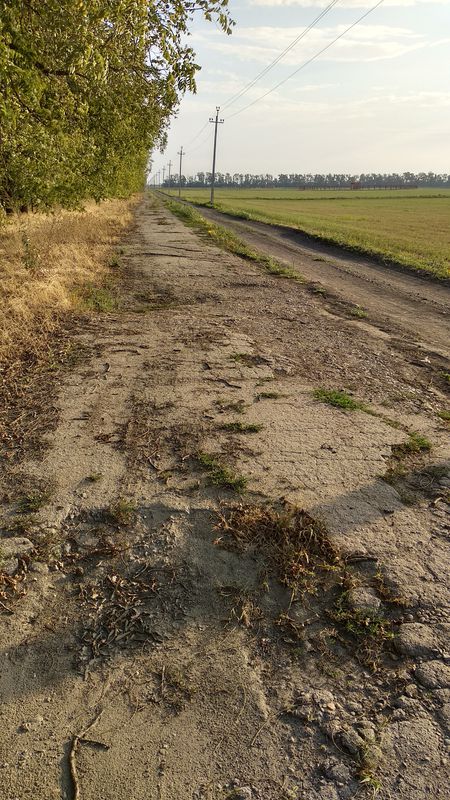 Краснодар поля учхоза Кубань