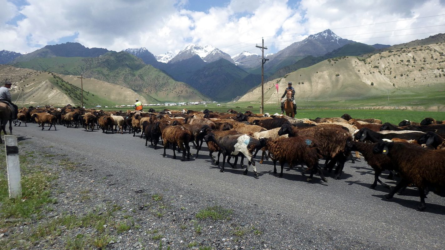 M41 - Day 13 (09 via Bartang) - Sarytash - Gültschö