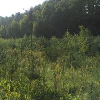 2018-09-07 Gdynia Zachodnia