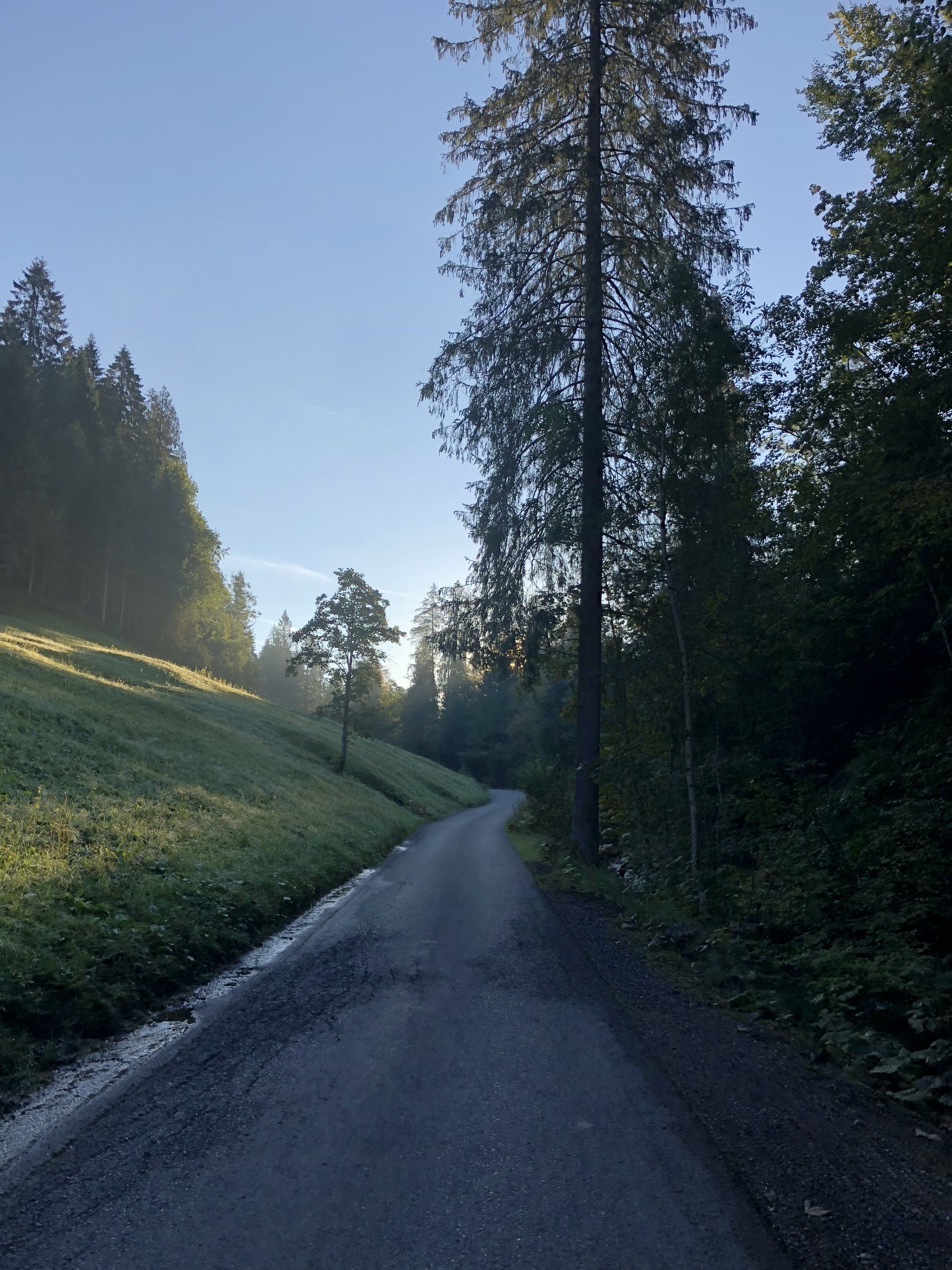 Sonntag Course; Bezau - Ostergunten - Bezau